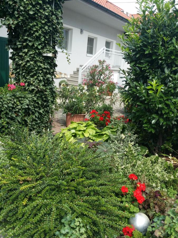 Weingut Apartment Hildegard Gangl Illmitz Exterior foto