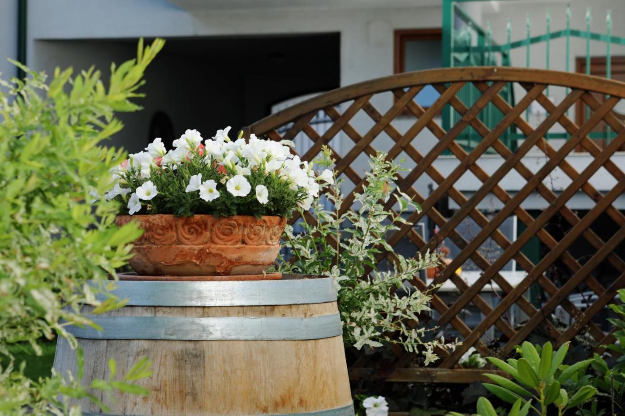 Weingut Apartment Hildegard Gangl Illmitz Exterior foto