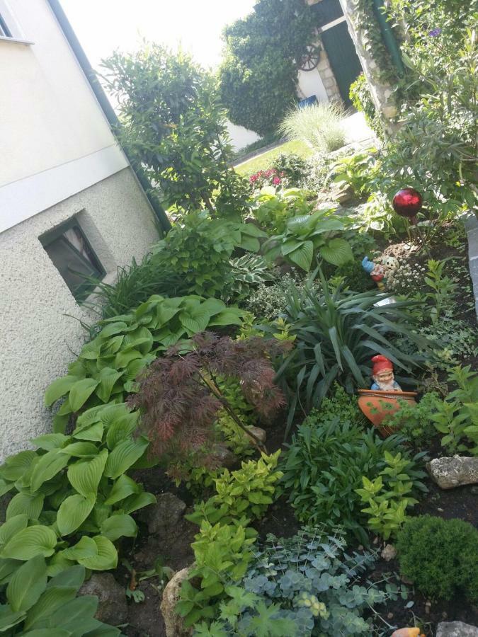 Weingut Apartment Hildegard Gangl Illmitz Exterior foto