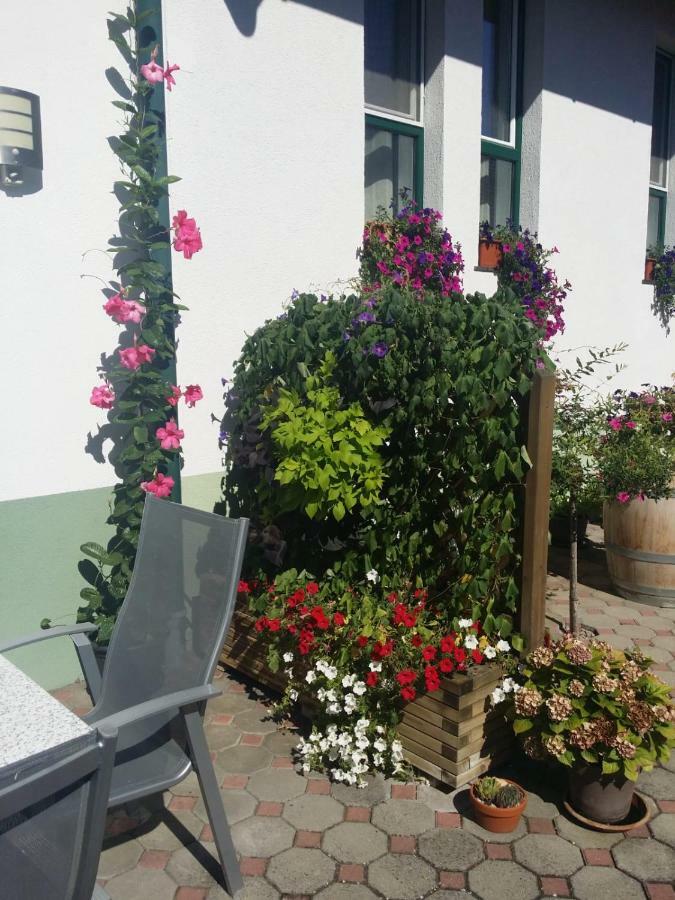 Weingut Apartment Hildegard Gangl Illmitz Exterior foto